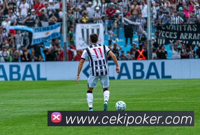 奖项证书
